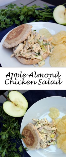 Chicken tossed with sweet apple, tangy homemade mayo and topped with slivered almonds for a nice crunch, this Apple Almond Chicken Salad will get anyone out of a lunch rut!
