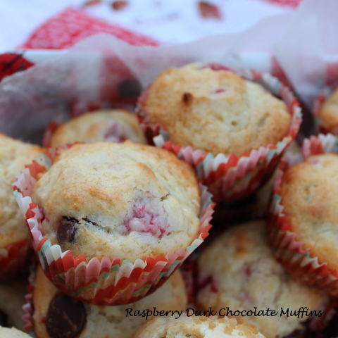 These Raspberry Dark Chocolate Muffins feature sweet, ripe berries, rich dark chocolate, and good-for-you Greek yogurt that is a delicious breakfast or snack.