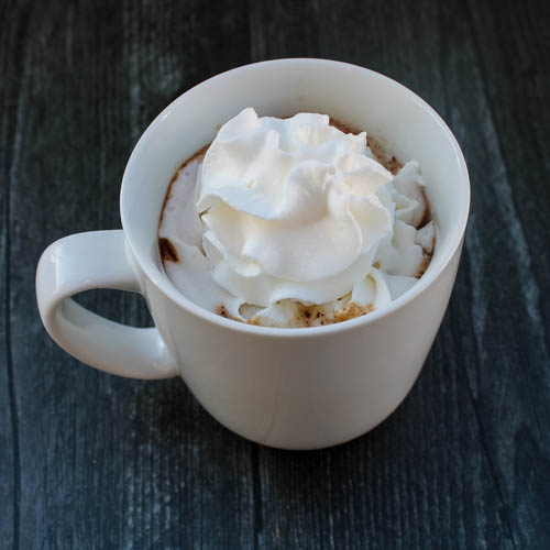 Hot chocolate gets a hit of bold coffee flavor in this Mocha Hot Chocolate.
