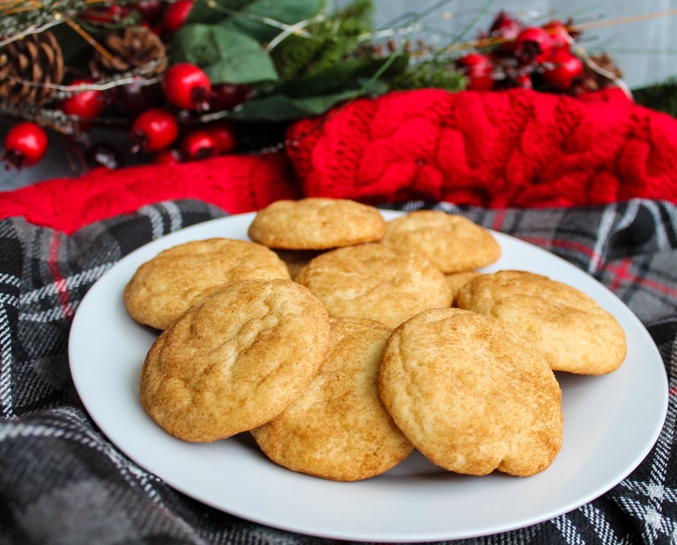 Side view of snickerdoodle cookies on a white plate