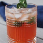 Blood Orange Sage Vodka Soda