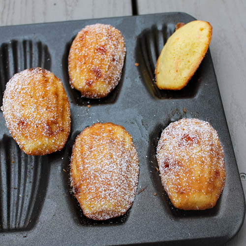 These Peppermint Madeleines are slightly sweet, lightly pepperminty cake-like cookies that just feel like Christmas.