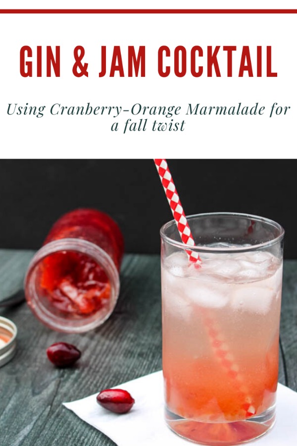 A customizable, 3-ingredient cocktail made from ingredients you likely always have on hand, this Gin & (Cranberry Orange) Jam Cocktail is a refreshing fall sipper. 