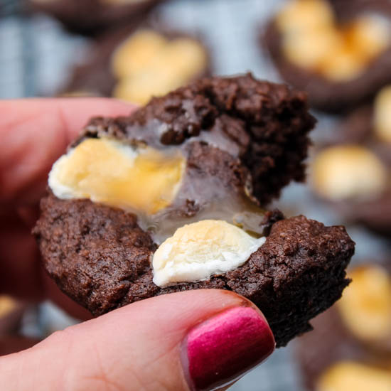 These Kahlua Hot Chocolate Cookies are a rich, decadent bite for your holiday dessert table. A soft pillow of chocolate, with a touch of Kahlua, topped with marshmallows and a caramel drizzle, what's not to love? 