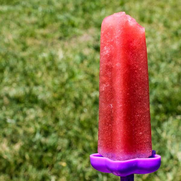 Fresh watermelon juice is sweetened every so slightly, studded with mini chocolate chip "seeds" and then frozen into Watermelon Sorbetto Popsicles - a refreshing, healthy summer treat. 