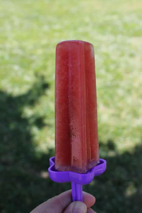 Fresh watermelon juice is sweetened every so slightly, studded with mini chocolate chip "seeds" and then frozen into Watermelon Sorbetto Popsicles - a refreshing, healthy summer treat. 