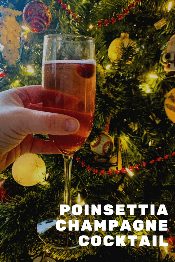 Poinsettia Champagne Christmas Cocktail on Books n' Cooks