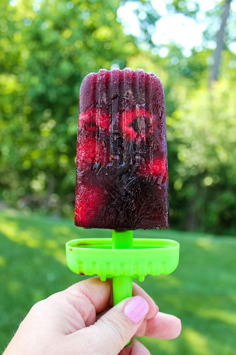 sangria popsicle against a green backdrop