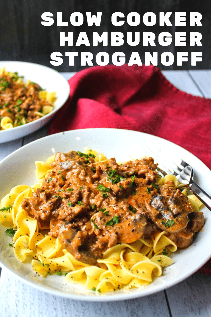 Slow Cooker Hamburger Stroganoff on Books n' Cooks