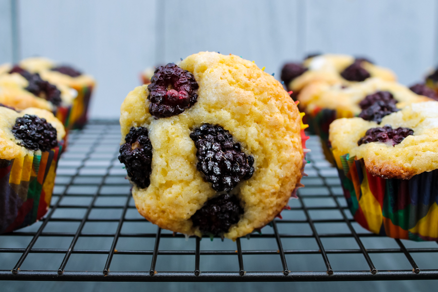 Blackberry Cornmeal Cupcakes 